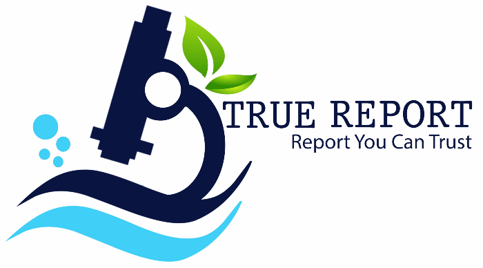 True Report logo